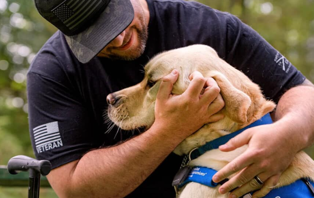 Is That Someone's Service Dog or Just a Pet?