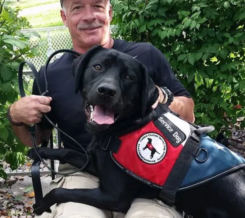 How Service Dogs Can Help Those with PTSD